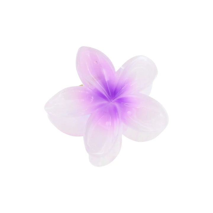 Hårklemme, blomst, flere farver 