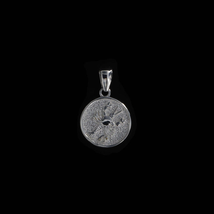 Vedhæng, stjernetegn, sterlingsølv OK Silver