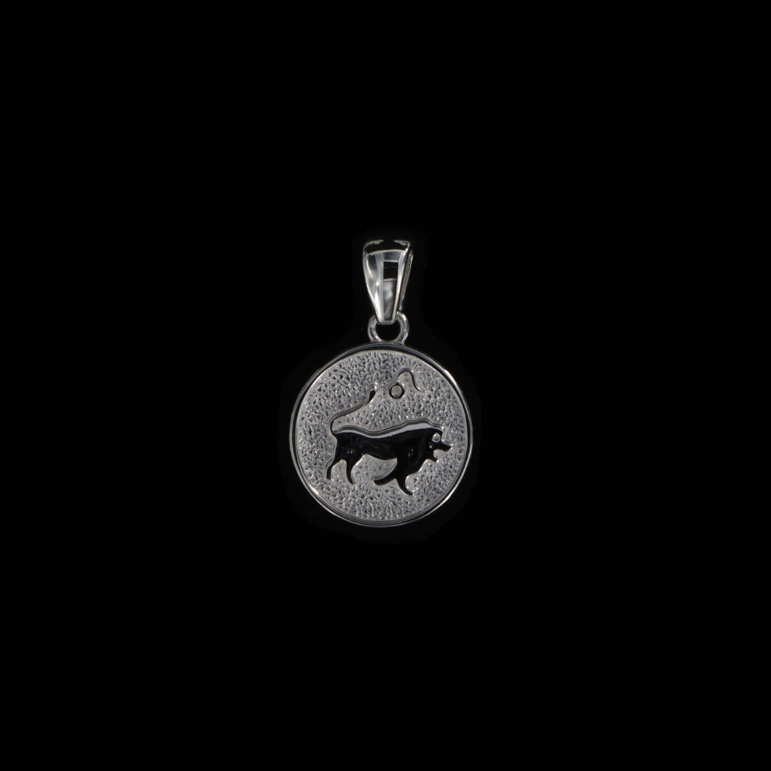 Vedhæng, stjernetegn, sterlingsølv OK Silver