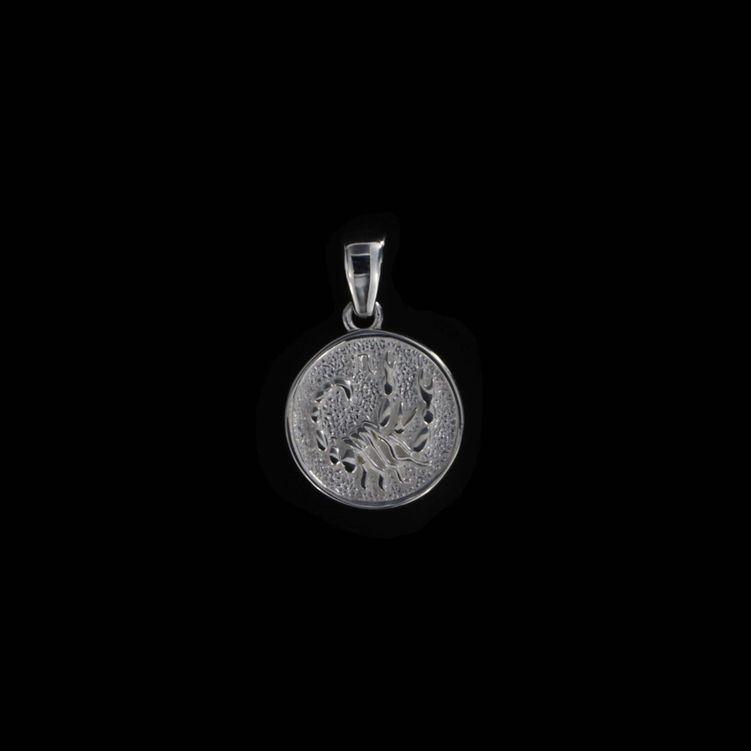 Vedhæng, stjernetegn, sterlingsølv OK Silver