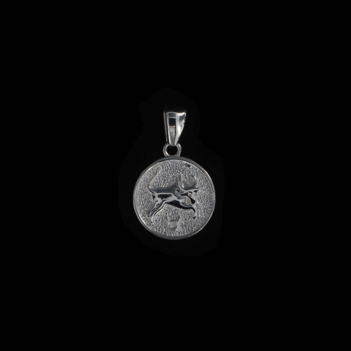 Vedhæng, stjernetegn, sterlingsølv OK Silver