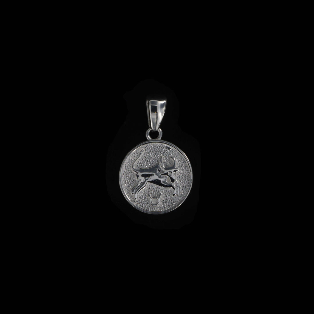 Vedhæng, stjernetegn, sterlingsølv OK Silver